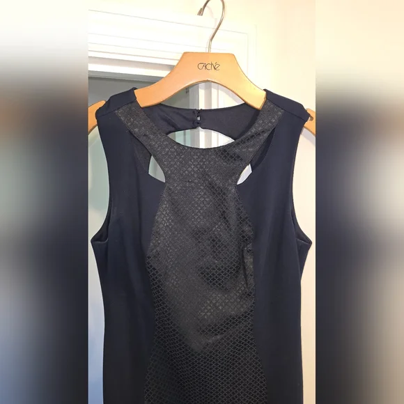 Cache Dress Womens Sleeveless Blue Textured Sheath Open Back Date Night Size 6 - Picture 5 of 10